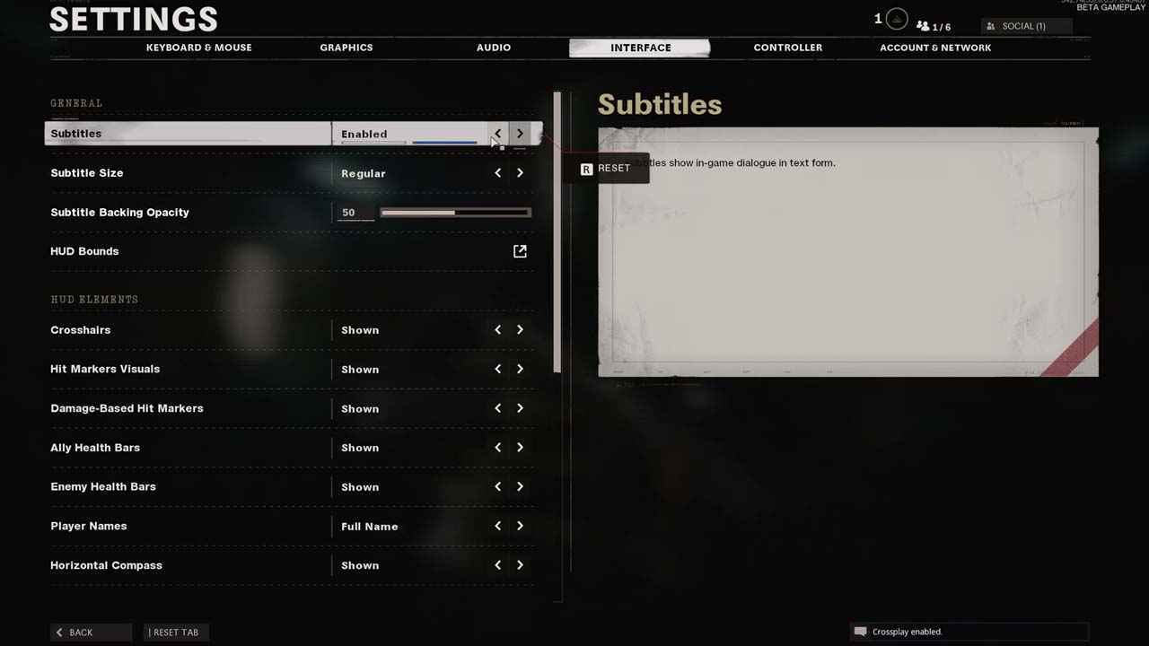 Subtitles Settings