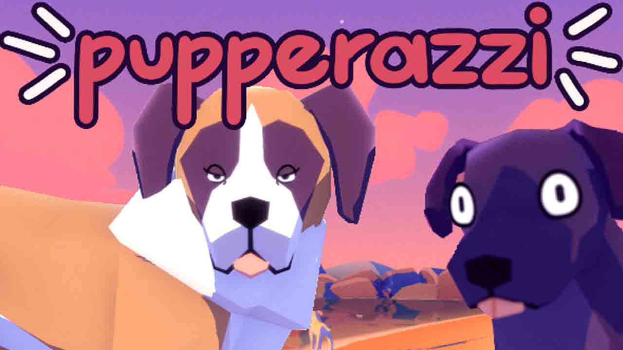 Pupperazzi