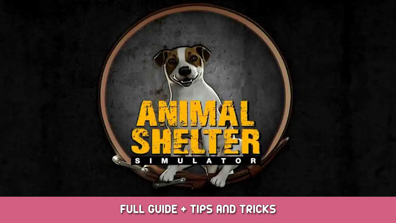 Animal Shelter Full Guide, Tips, and Tricks