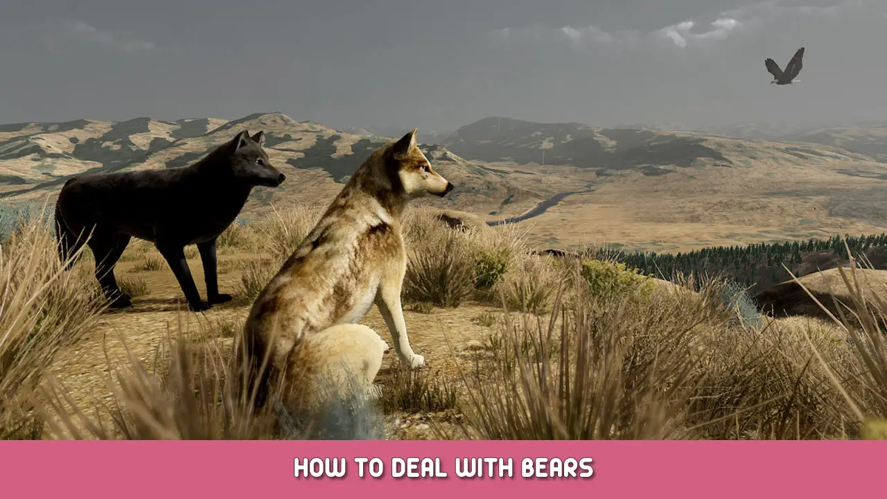 WolfQuest: Anniversary Edition – How to Deal With Bears