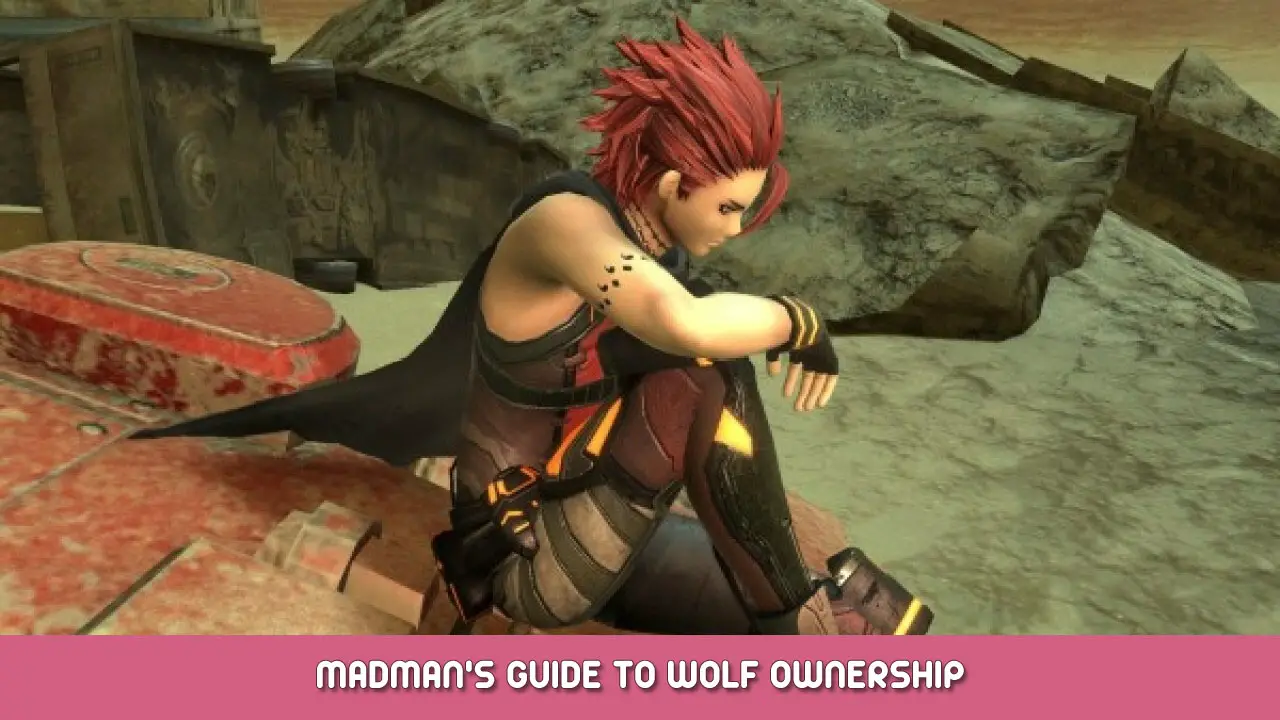 Metal Max Xeno Reborn – Madman’s Guide to Wolf Ownership