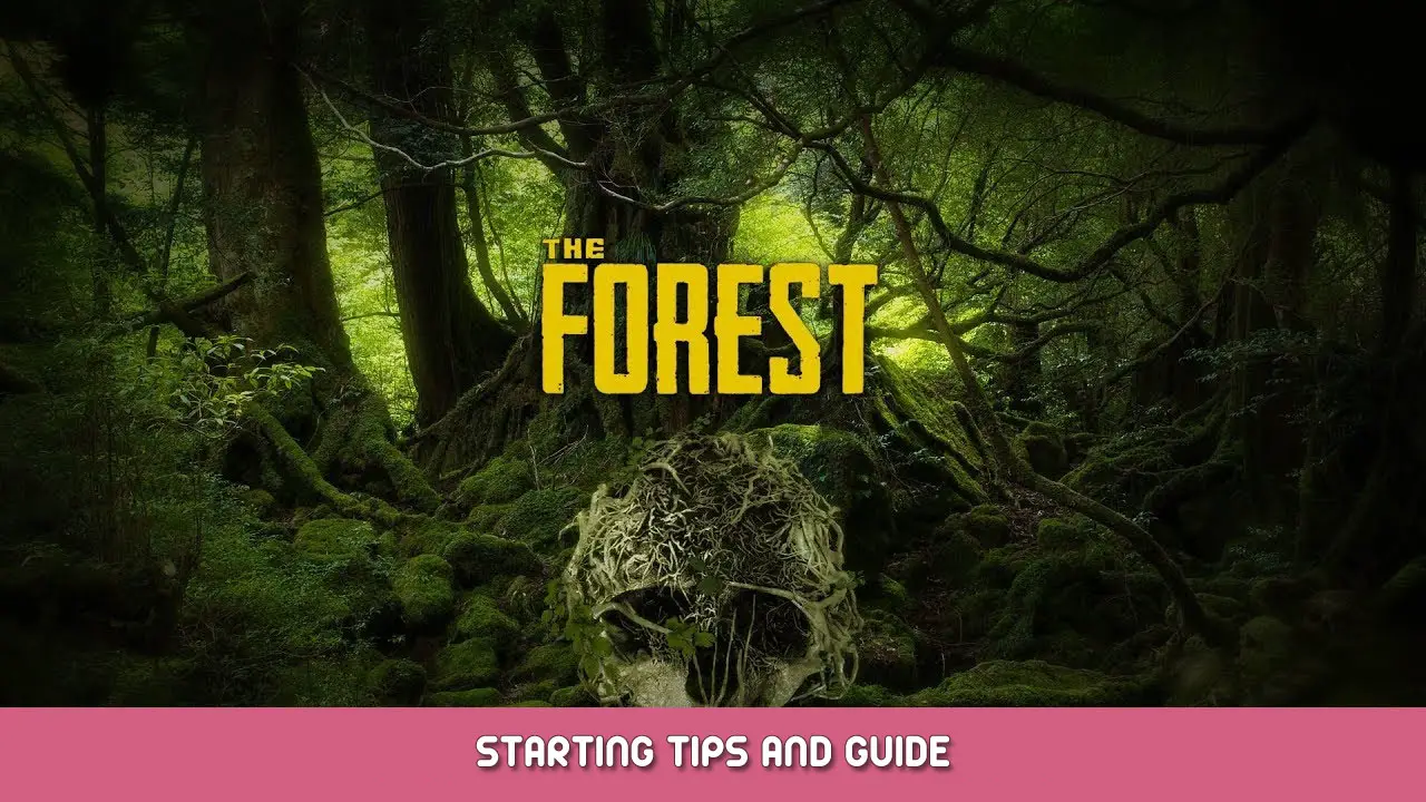 The Forest Starting Tips and Guide