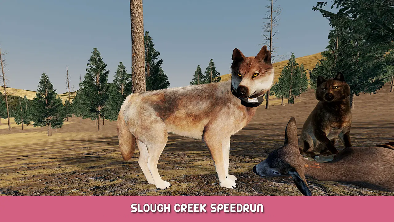 WolfQuest: Anniversary Edition Slough Creek Speedrun