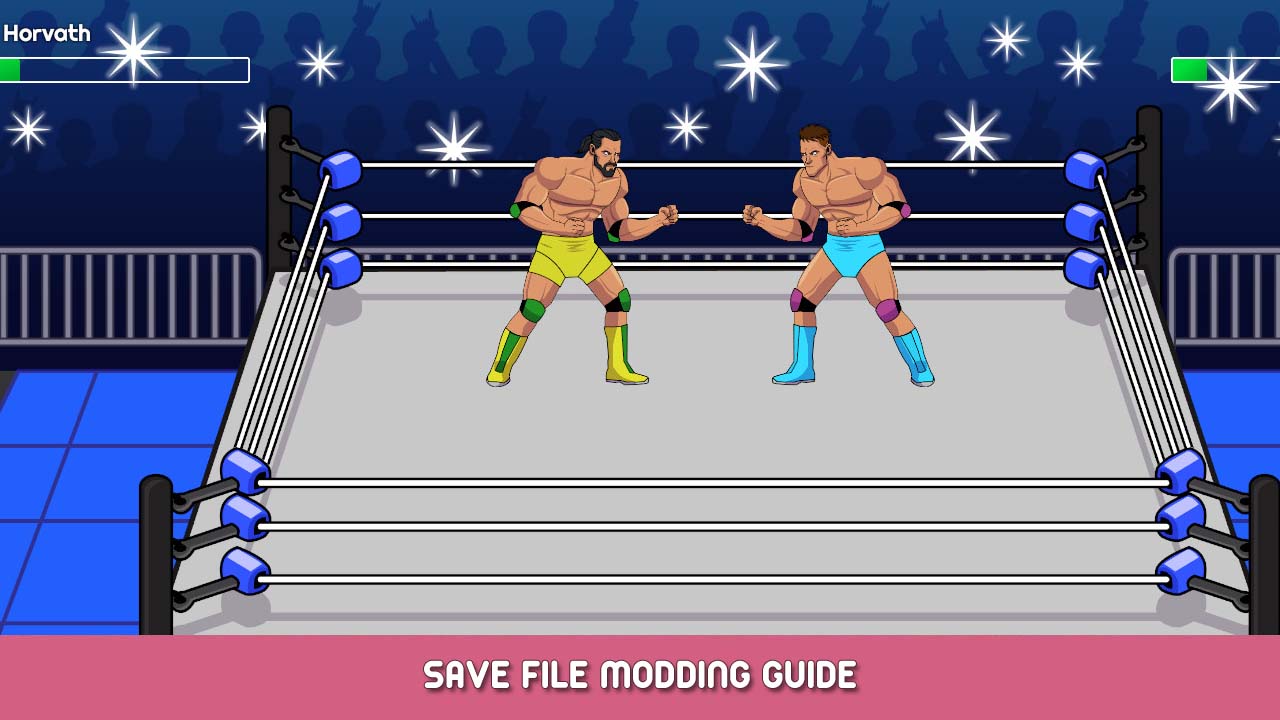 Championship Wrestling Promoter Save File Modding Guide