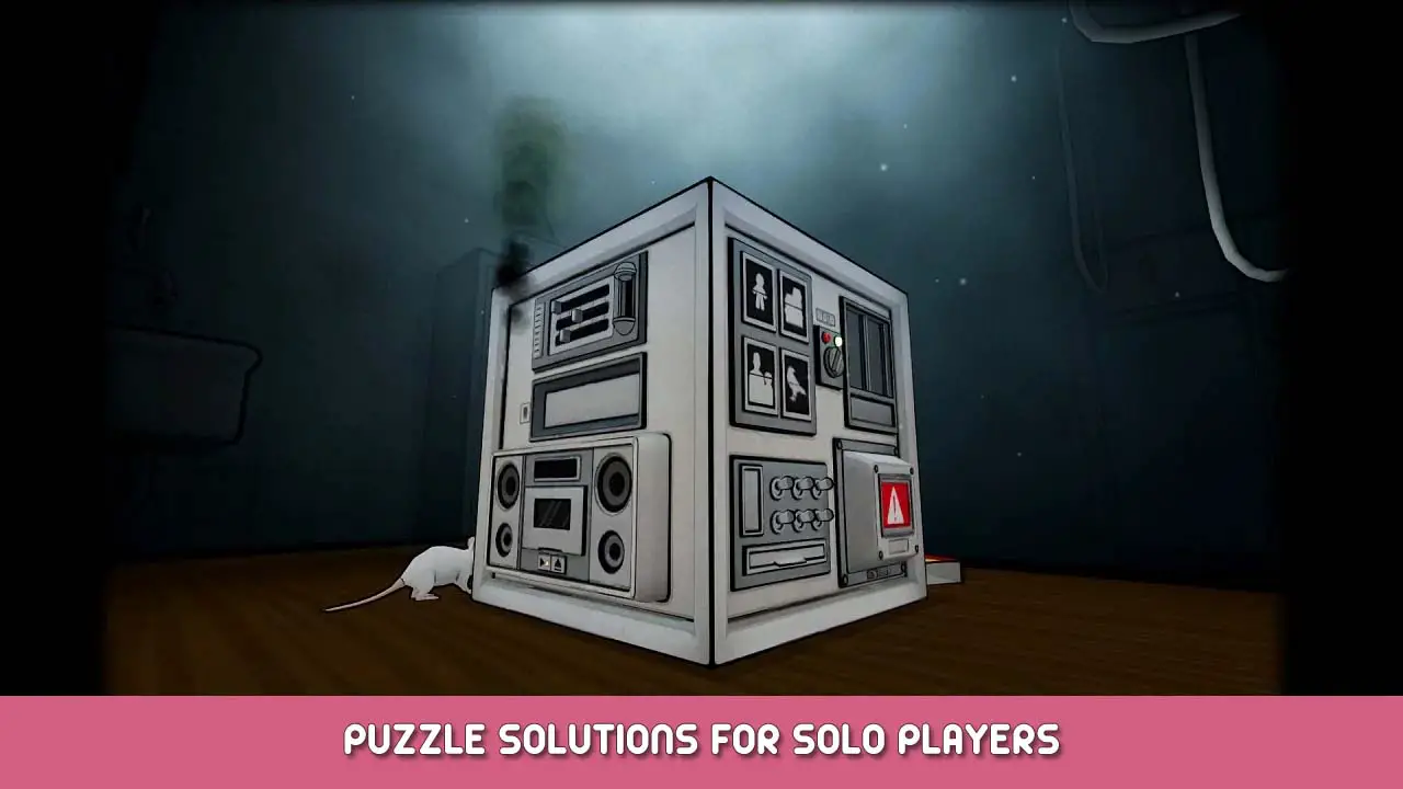The Past Within Puzzle Solutions for Solo Players